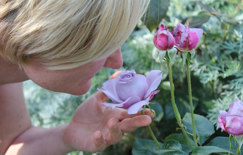 Sensory Awareness